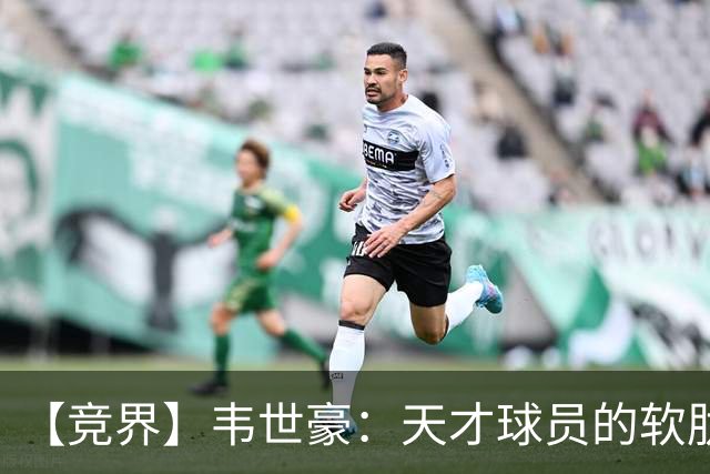 【竞界】韦世豪：天才球员的软肋 洪七公效应的外溢